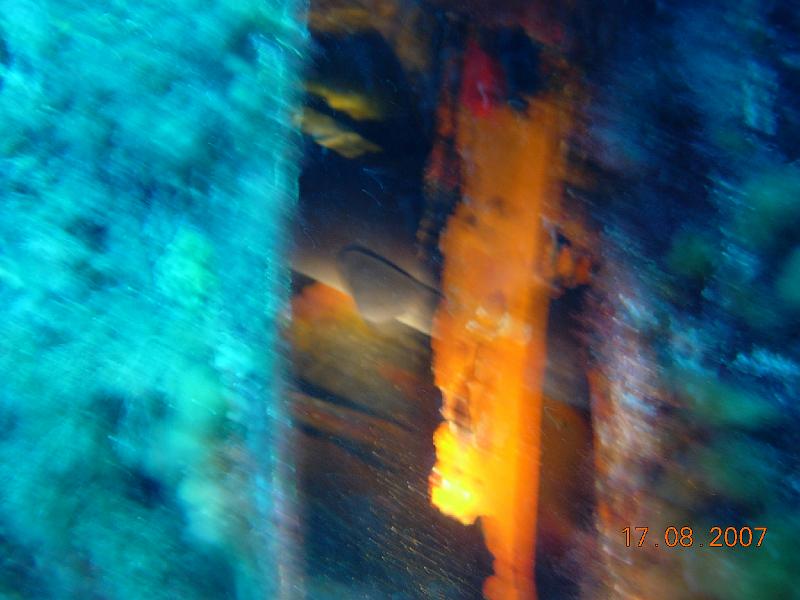 DSCN5822